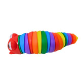 Rainbow Worm Toy